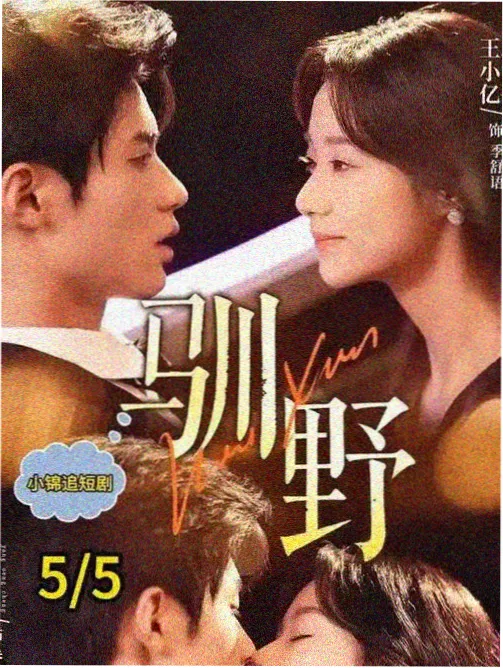 微综艺深夜书房